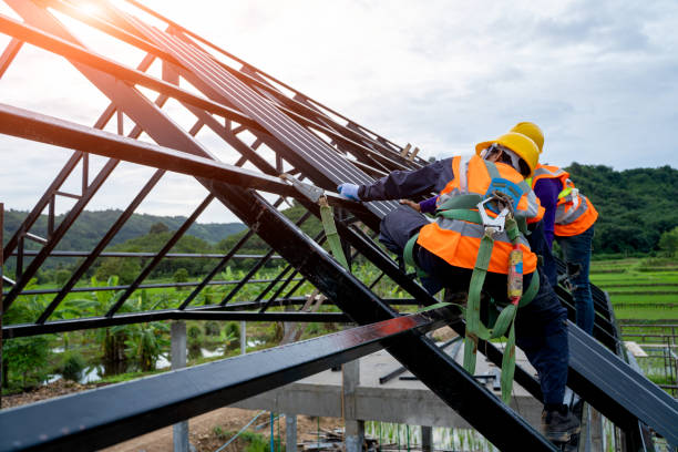 Best Storm Damage Roof Repair  in New Market, VA
