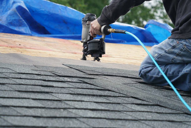 Best Roof Gutter Cleaning  in New Market, VA