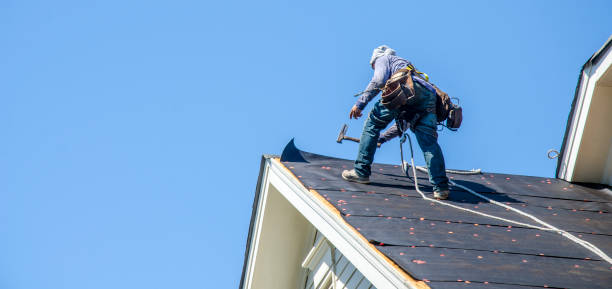 Best Storm Damage Roof Repair  in New Market, VA